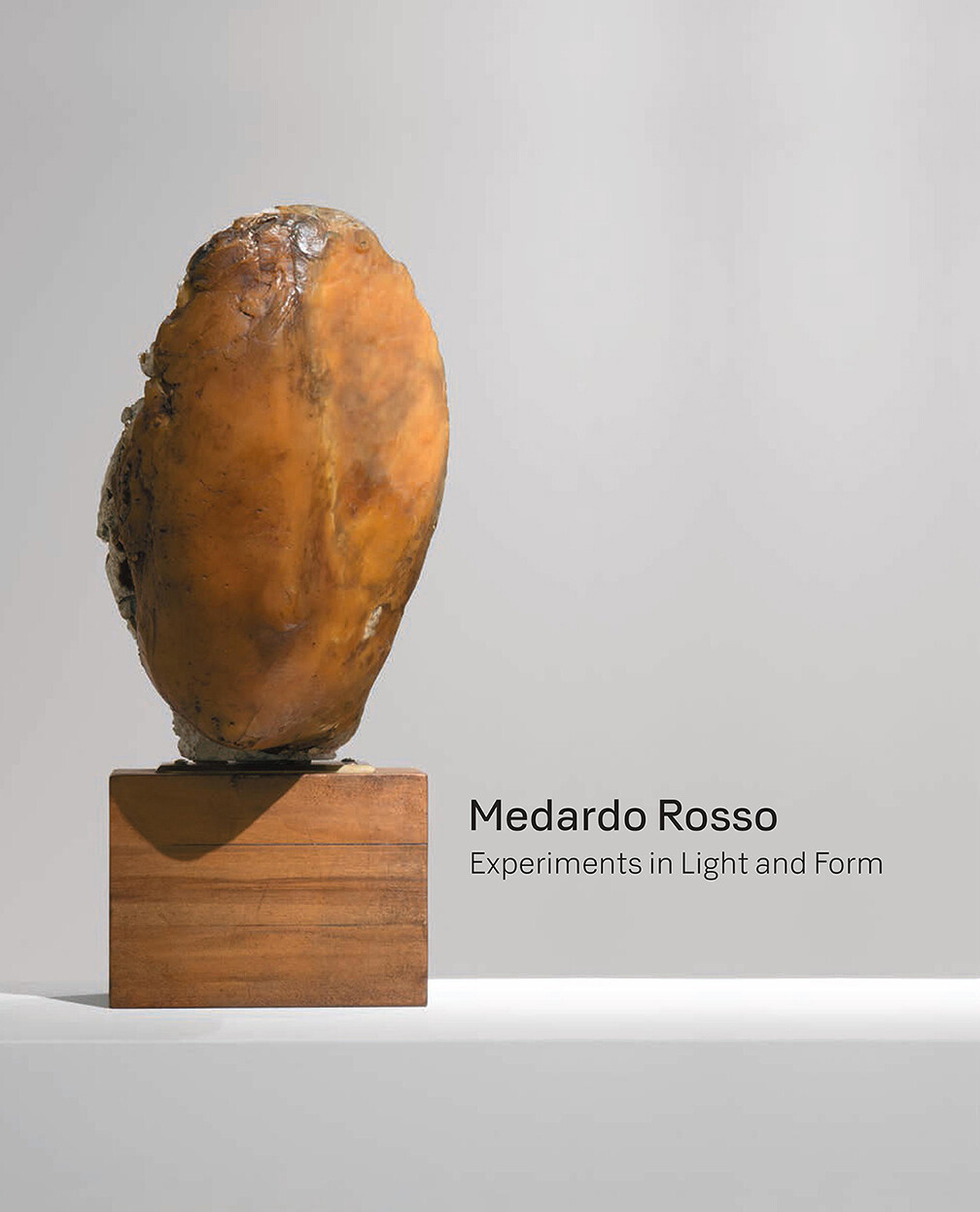 Medardo Rosso: Experiments in Light and Form now available 